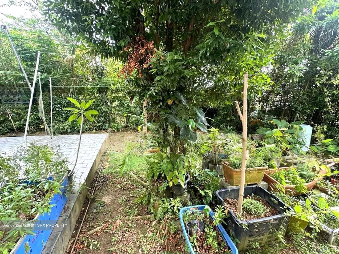 Caldecott Hill Estate (D11), Detached #543892201